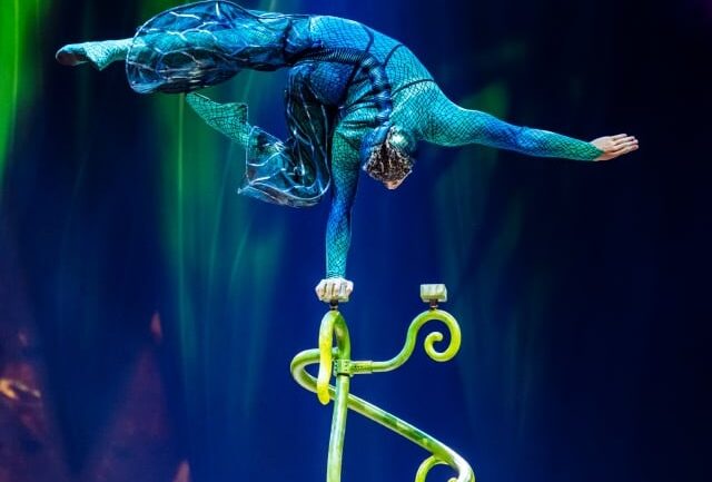 Cirque du Soleil’in OVO prodüksiyonundan, mavi kostümlü bir akrobatın tek kol üzerinde denge hareketi yaptığı sahne fotoğrafı.
