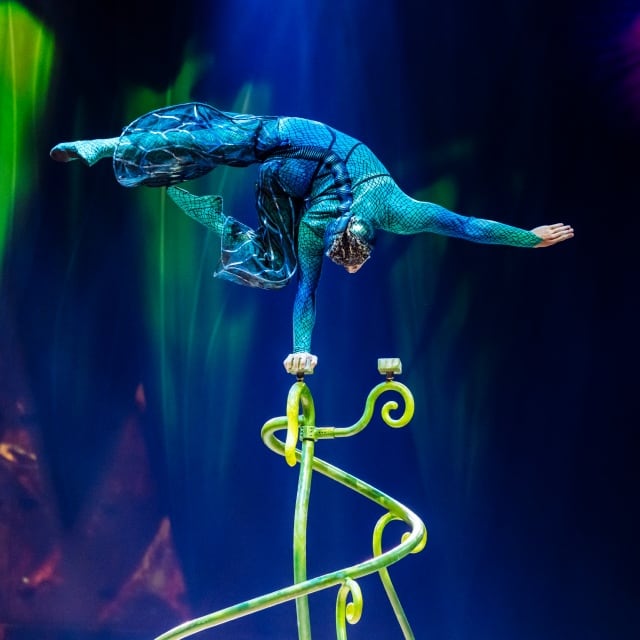 A scene from Cirque du Soleil’s OVO, showing an acrobat in a blue costume balancing on one arm.