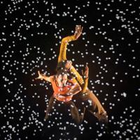 Istanbul Theater Festival to raise curtain in November — hurriyetdailynews.com kaynak görseli